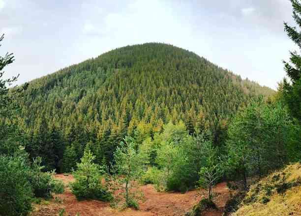 Photographie de flywithcha dans le parc "Laschamps et le Puy de Mercoeur"