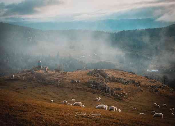Photographie de isabellehuguel sur la randonnée "Tête des Champs - Vosges"