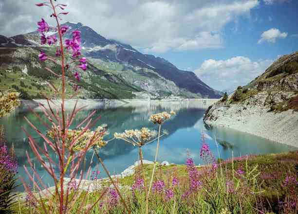 Photographie de mathilde_photographie_fr sur la randonnée "Bois de Laye"