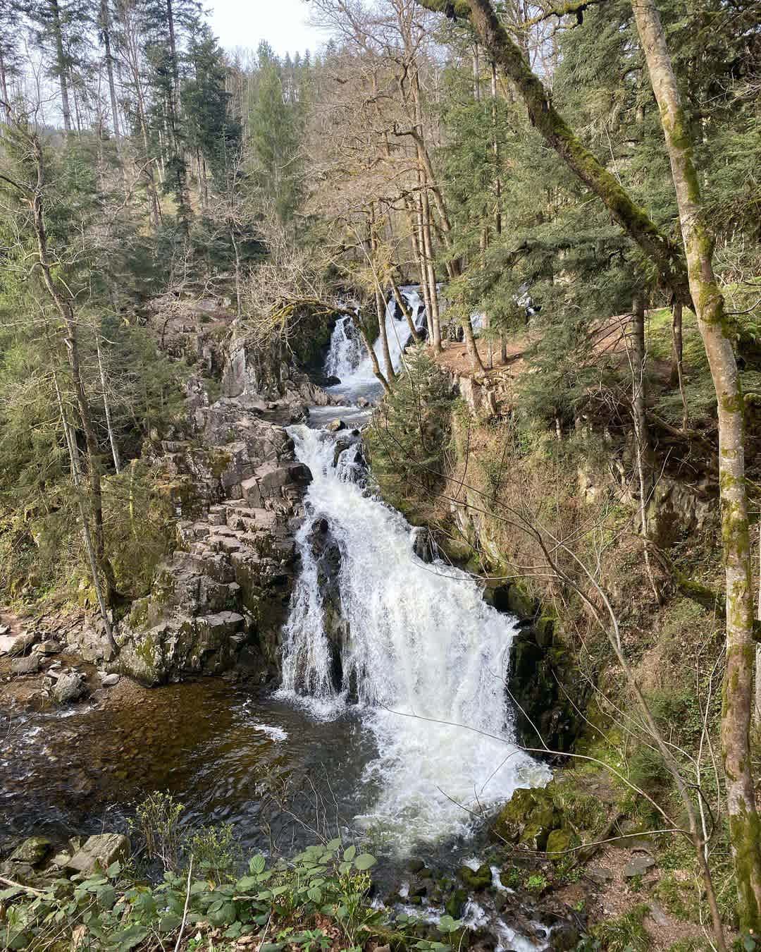Photographie de candicecn sur la randonnée "Saut du Bouchot"