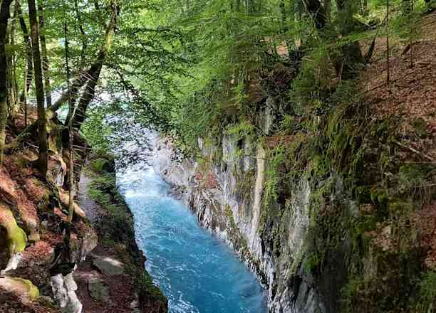 Photographie de wildlife.co.sp sur la randonnée "Gorges des Tines"
