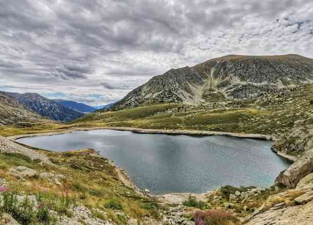 Photographie de smngdr dans le parc "Etangs de Pédoures et Etang du Siscar"