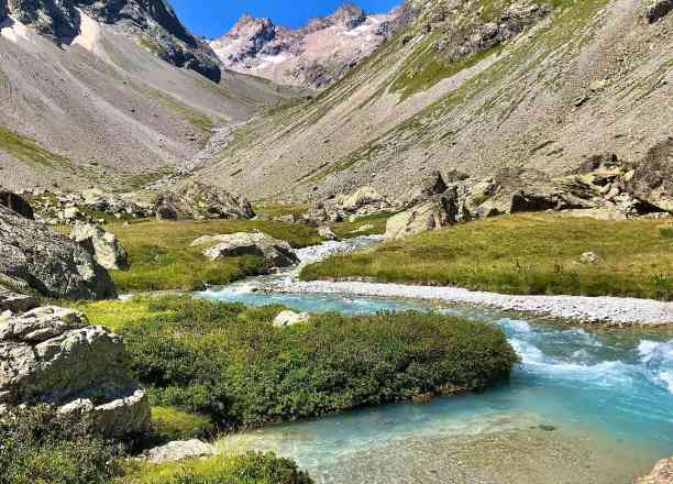 Photographie de sorstessouliers dans le parc "Sources de la Romanche"