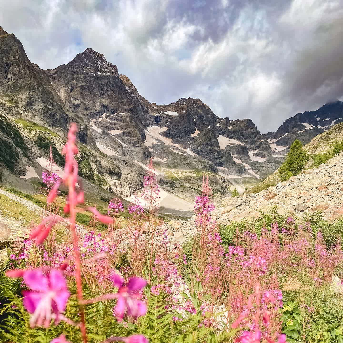Photographie de myrtille05 sur la randonnée "Refuge des Bans"