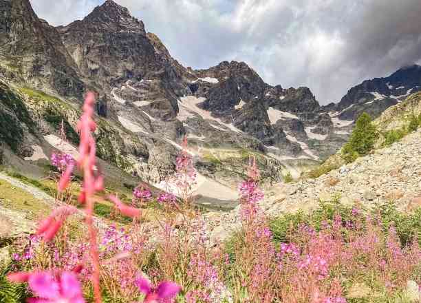 Photographie de myrtille05 dans le parc "Refuge des Bans"