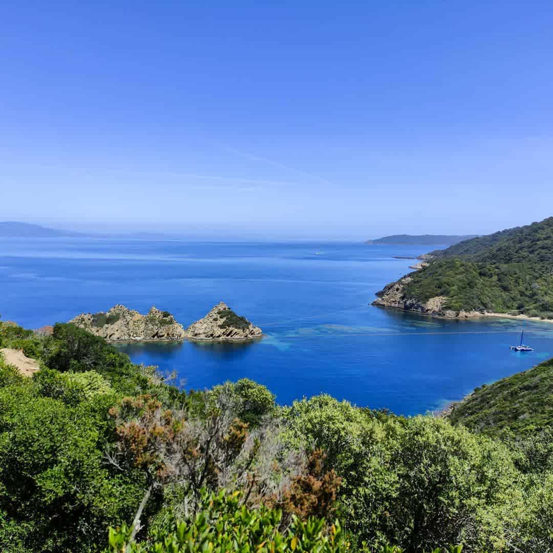 Photographie de contemplatrys sur la randonnée "Tour de l’île de Port-Cros"