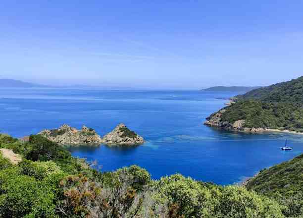 Photographie de contemplatrys sur la randonnée "Tour de l’île de Port-Cros"