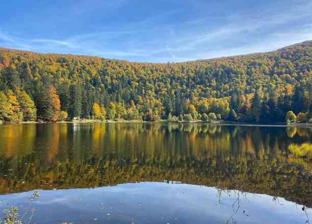 Photographie de patrick68600 dans le parc "Lac de Blanchemer"