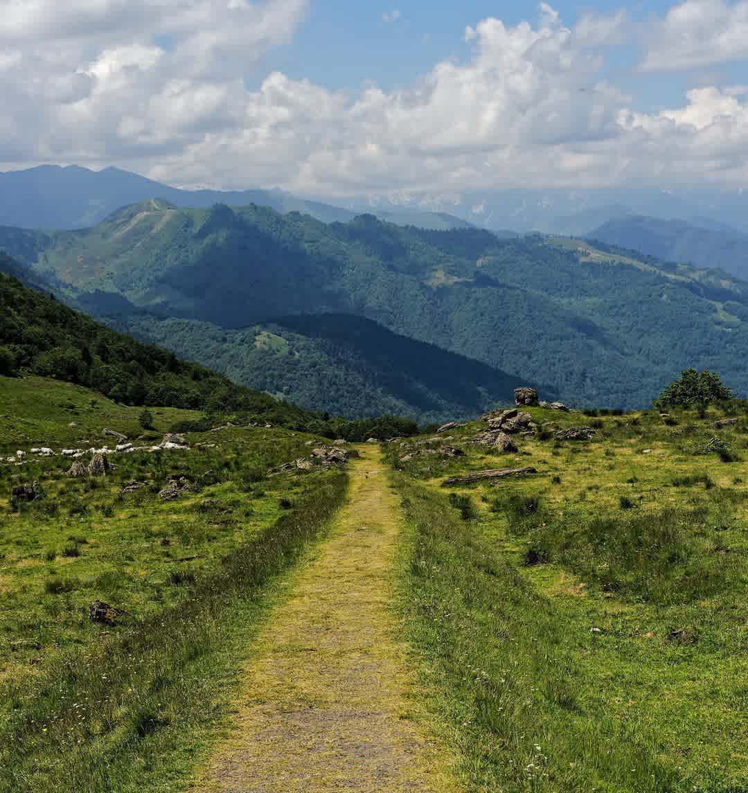 Photographie de aurelie_caraur31 sur la randonnée "Étang Labant"