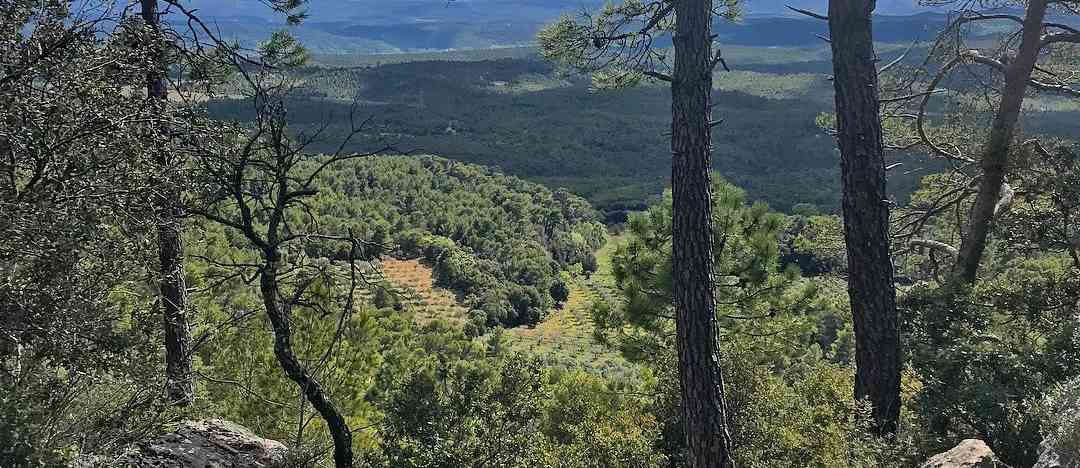 Photographie de edyoungpix sur la randonnée "Aups - Montagne des Espiguières"