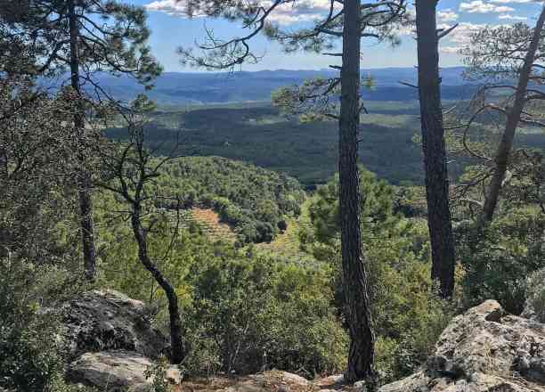 Photographie de edyoungpix dans le parc "Aups - Montagne des Espiguières"