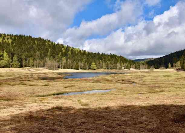 Photographie de fr57070 dans le parc "Circuit Rothenbach – Lac de Kruth – Ventron"