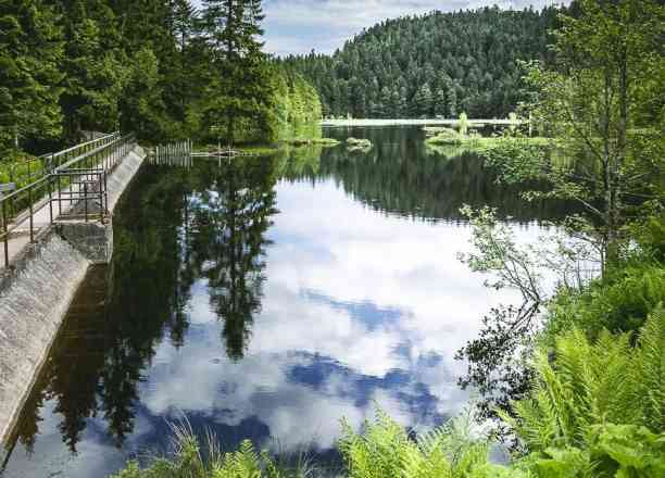 Photographie de isabellehuguel dans le parc "Lac de Lispach"