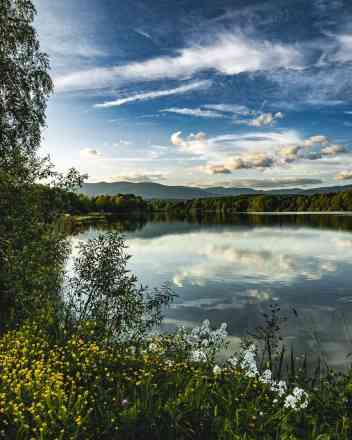 Photographie de isabellehuguel dans le parc "Étangs et Lac du Malsaucy"