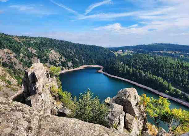 Photographie de la_dame_des_bois_67 sur la randonnée "Tour du lac Blanc - Vosges"