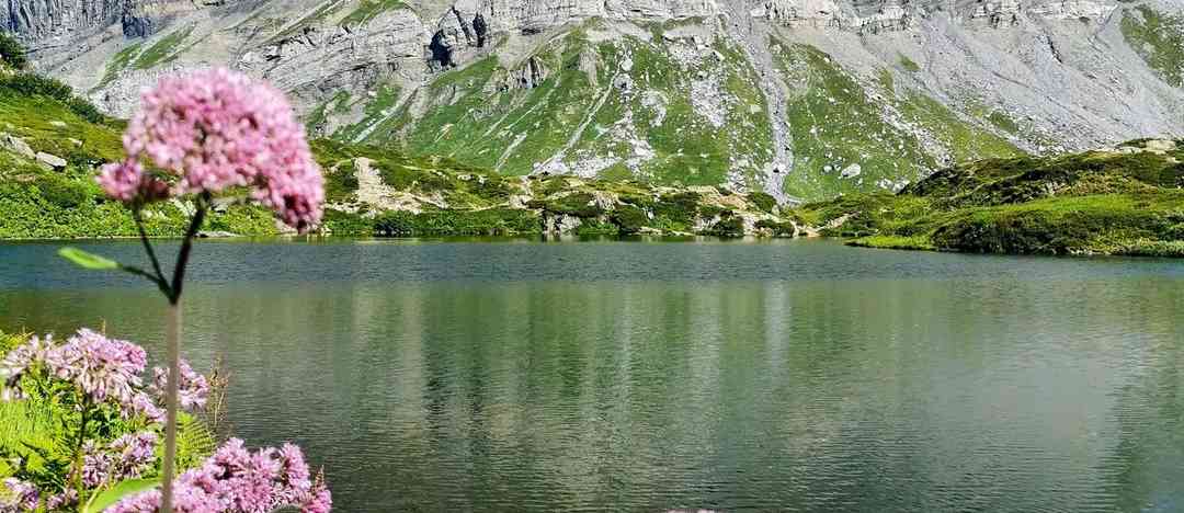 Photographie de julie.hike sur la randonnée "Lac de Pormenaz"