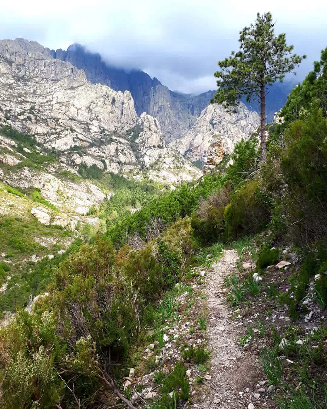 Photographie de zim_en_vadrouille sur la randonnée "Boucle de la Richiusa (gorges et bergeries)"