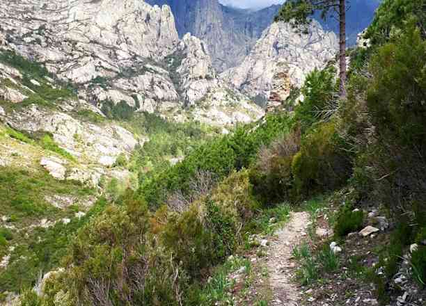Photographie de zim_en_vadrouille sur la randonnée "Boucle de la Richiusa (gorges et bergeries)"