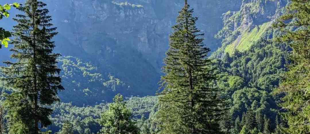 Photographie de polkawlyonie sur la randonnée "Chalet de Prazon - Sixt-Passy"