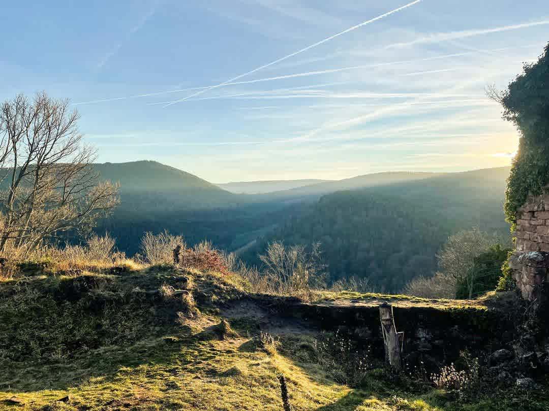 Photographie de virginiiie_ sur la randonnée "Château du Guirbaden"