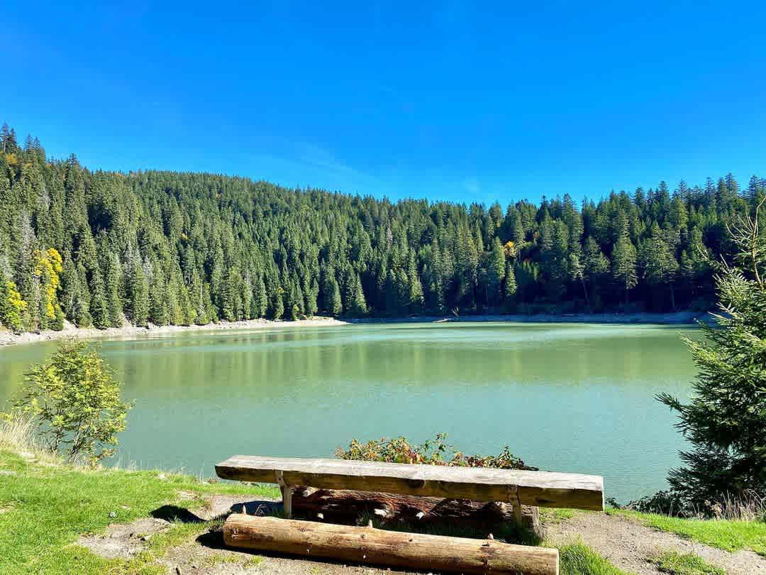 Photographie de laetitia_schouler sur la randonnée "Lac Vert des Vosges (Lac de Soultzeren)"