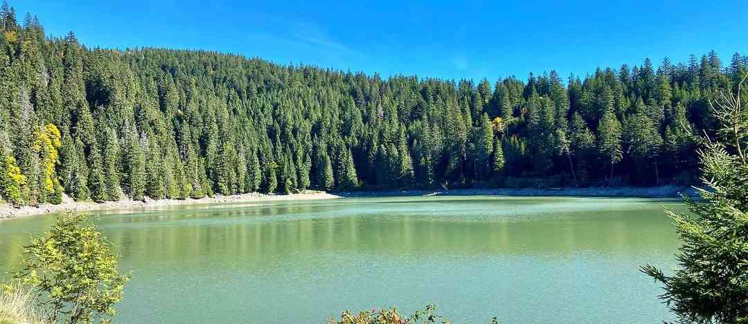 Photographie de laetitia_schouler sur la randonnée "Lac Vert des Vosges (Lac de Soultzeren)"