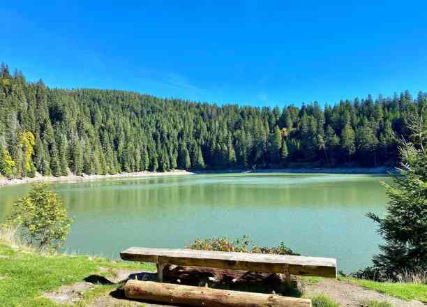 Photographie de laetitia_schouler dans le parc "Lac Vert des Vosges (Lac de Soultzeren)"