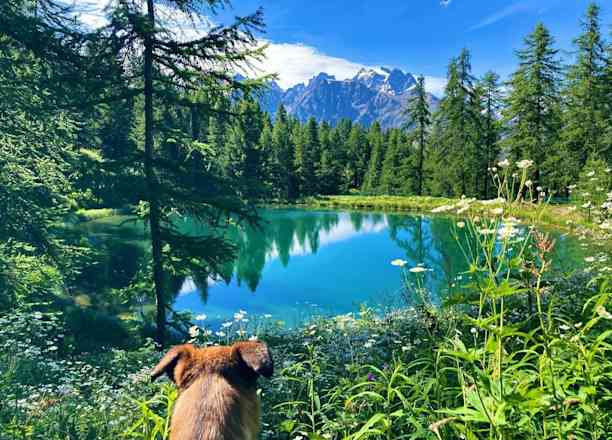 Photographie de rio_australinois83 dans le parc "Tête d'Oréac et Lac des Hermes"