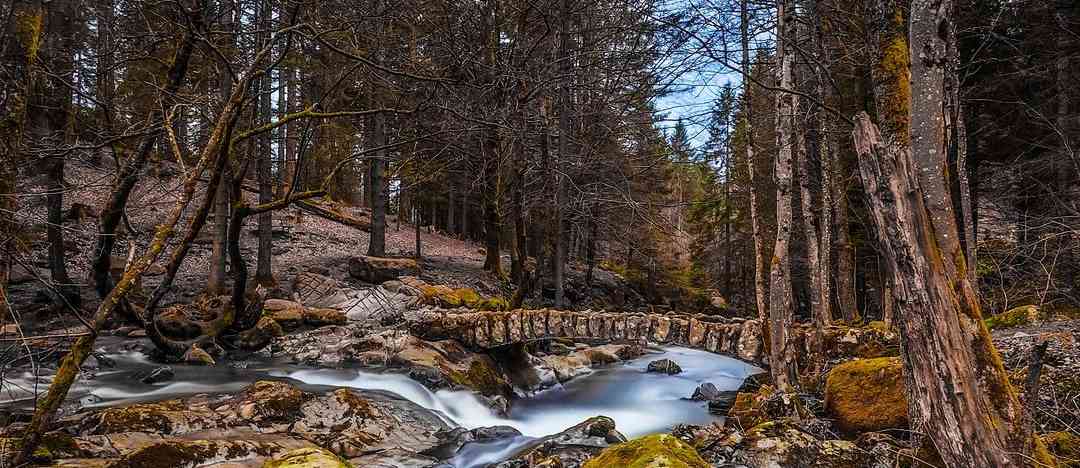 Photographie de schubyannick sur la randonnée "Roche du Page"