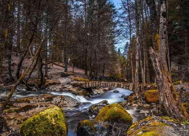 Photographie de schubyannick sur la randonnée "Roche du Page"