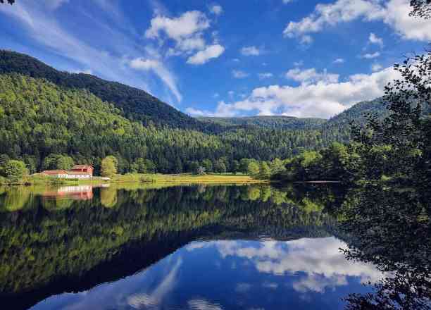 Photographie de choupi3ve dans le parc "Lac de Retournemer"