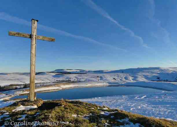 Photographie de caroline_photos_63 dans le parc "La Godivelle - Jassy, Brion et La Motte"