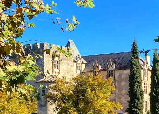 Photographie de mieldoudou dans le parc "Chapelle Saint-Marc à Allemagne-en-Provence"