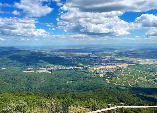 Photographie de conquetedelest dans le parc "Champ de Bataille de Hartmannswillerkopf (Viel Armand)"