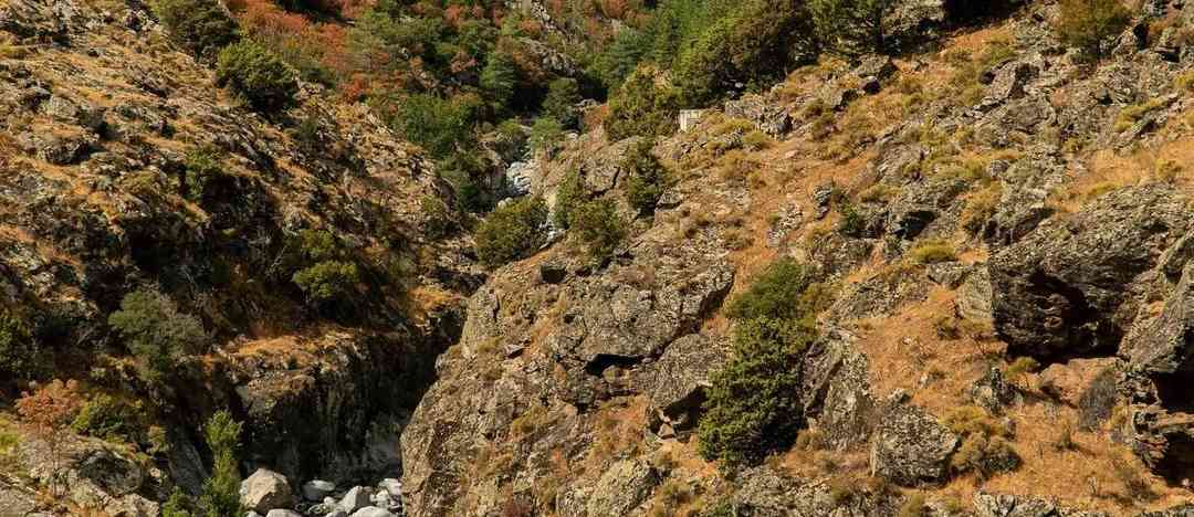 Photographie de lukas_sik sur la randonnée "Gorges de l'Asco - Pont Genois"