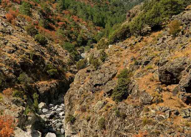 Photographie de lukas_sik sur la randonnée "Gorges de l'Asco - Pont Genois"