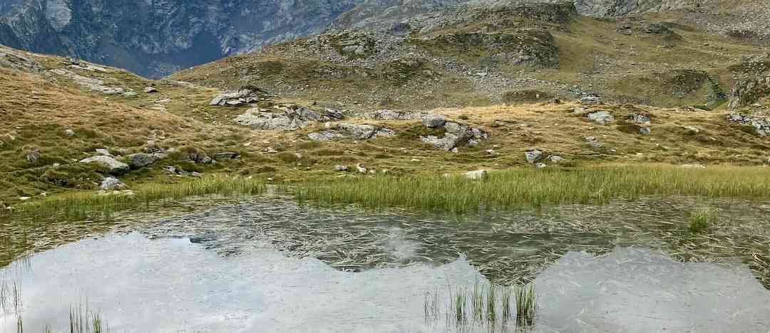 Photographie de rheaparks_app sur la randonnée "Le Chemin des Orris"