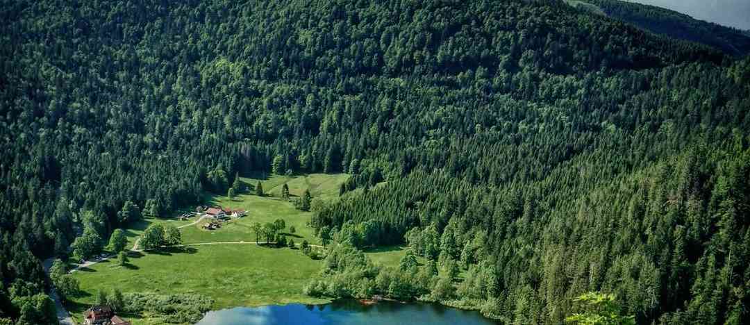 Photographie de marine__jj sur la randonnée "Lacs de Longemer et Retournemer"