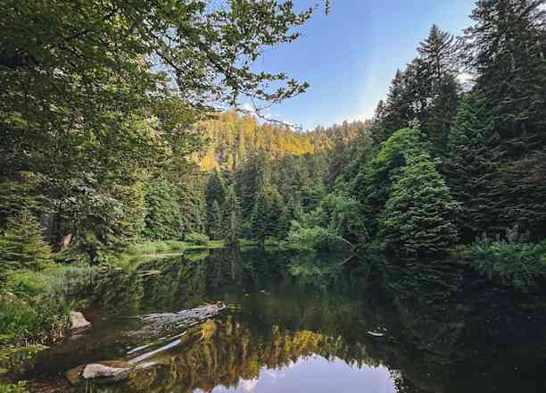 Photographie de kaya.wild sur la randonnée "Lac des Corbeaux depuis le Chemin du Séchenet"