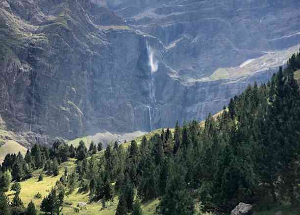 Photographie de canaiiille dans le parc "Cirque de Gavarnie par le plateau de Bellevue"