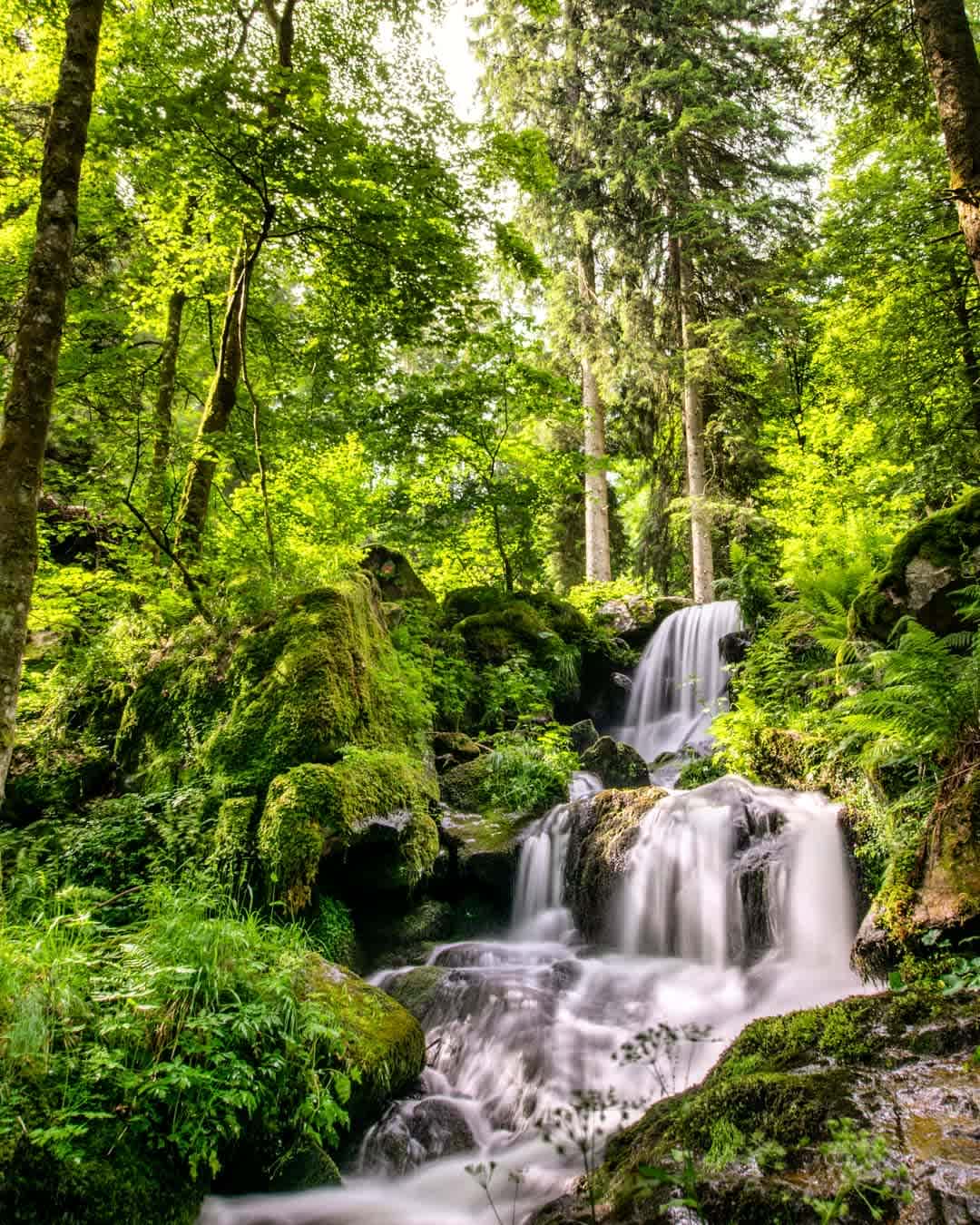 Photographie de eric_leboucher_travelpics sur la randonnée "Cascade de la Serva"