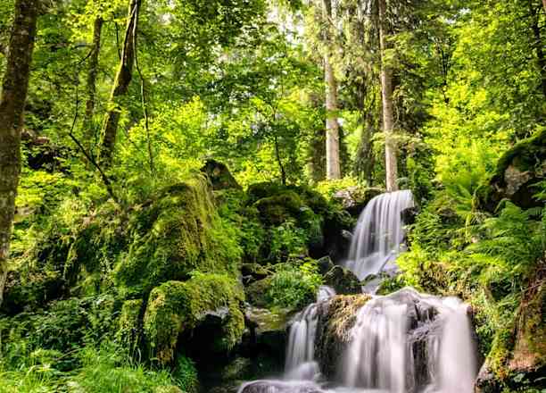 Photographie de eric_leboucher_travelpics sur la randonnée "Cascade de la Serva"