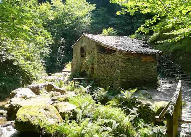 Photographie de ro_main_b sur la randonnée "Moulin de la Laurède"