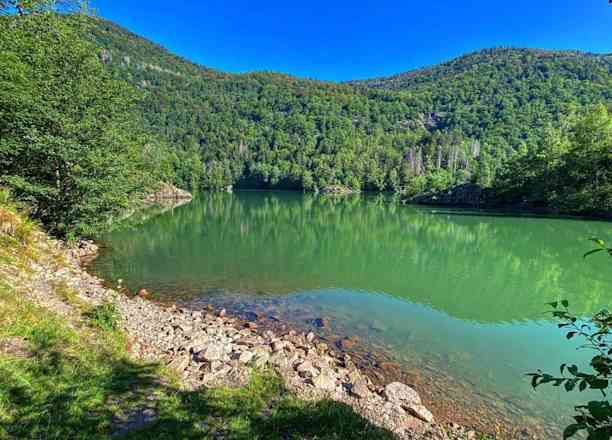 Photographie de jcnaturphoto sur la randonnée "Lac d'Alfeld"