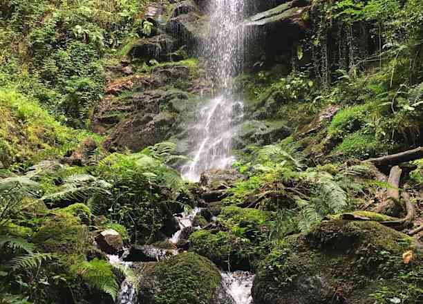Photographie de minipouce_87 sur la randonnée "Cascades de la Piche"