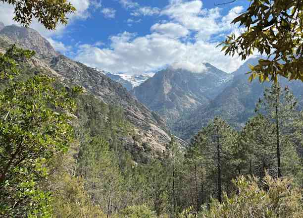 Photographie de fabiendeletage sur la randonnée "Forêt de Bonifatu - Boucle de Finocchi"