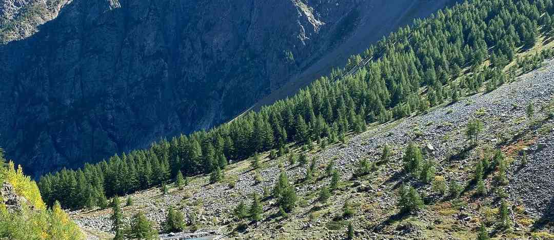 Photographie de _allison_aubry_ sur la randonnée "Lac de la Douche"