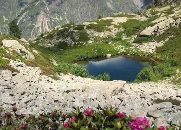 Photographie de les_poulettes_en_vadrouille_ sur la randonnée "Lacs et Col de Pétarel"