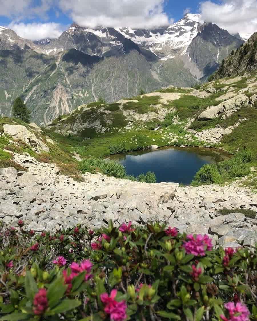 Photographie de les_poulettes_en_vadrouille_ sur la randonnée "Lacs et Col de Pétarel"