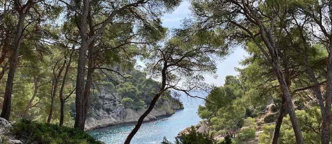 Photographie de rheaparks_app sur la randonnée "Calanque de Port-Pin"